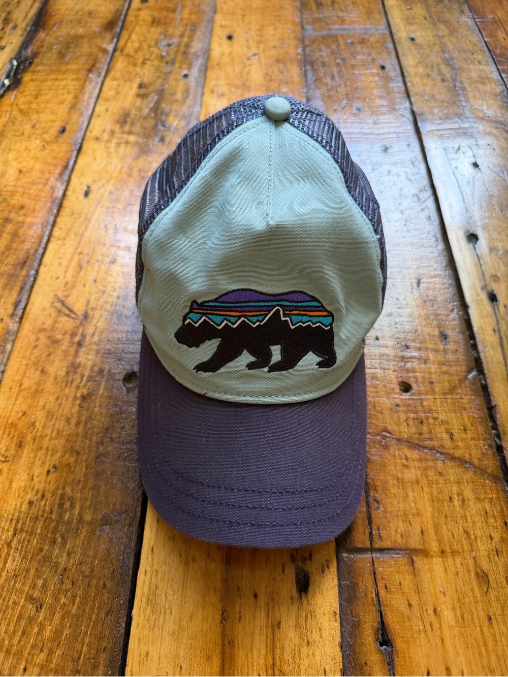 Patagonia deep purple and teal blue Bear Logo Trucker Hat